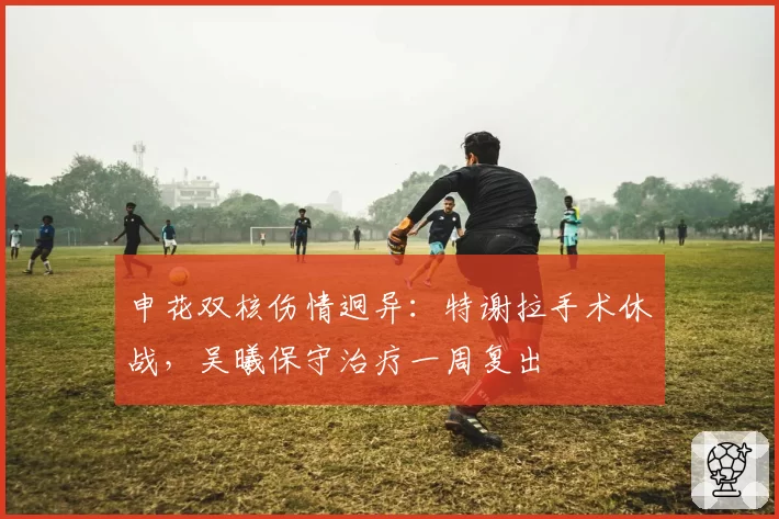 申花双核伤情迥异:特谢拉手术休战,吴曦保守治疗一周复出