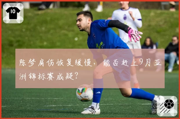 陈梦肩伤恢复缓慢,能否赶上9月亚洲锦标赛成疑?